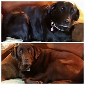 Meet your Posher, Beverly